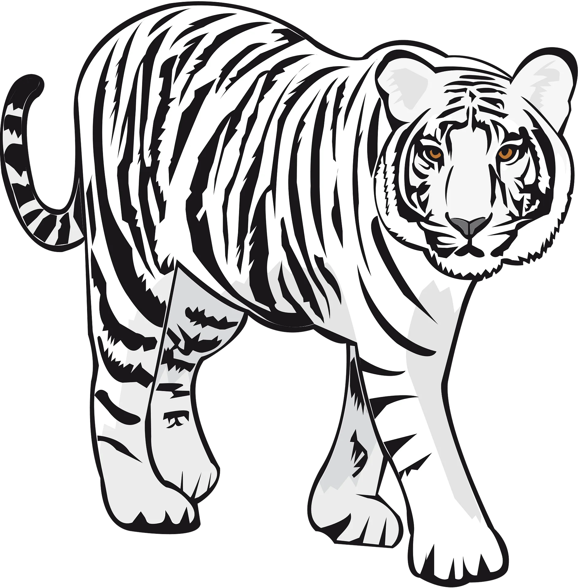 Majestic Wild Predator Prowling - Black and White Tiger Clipart Design