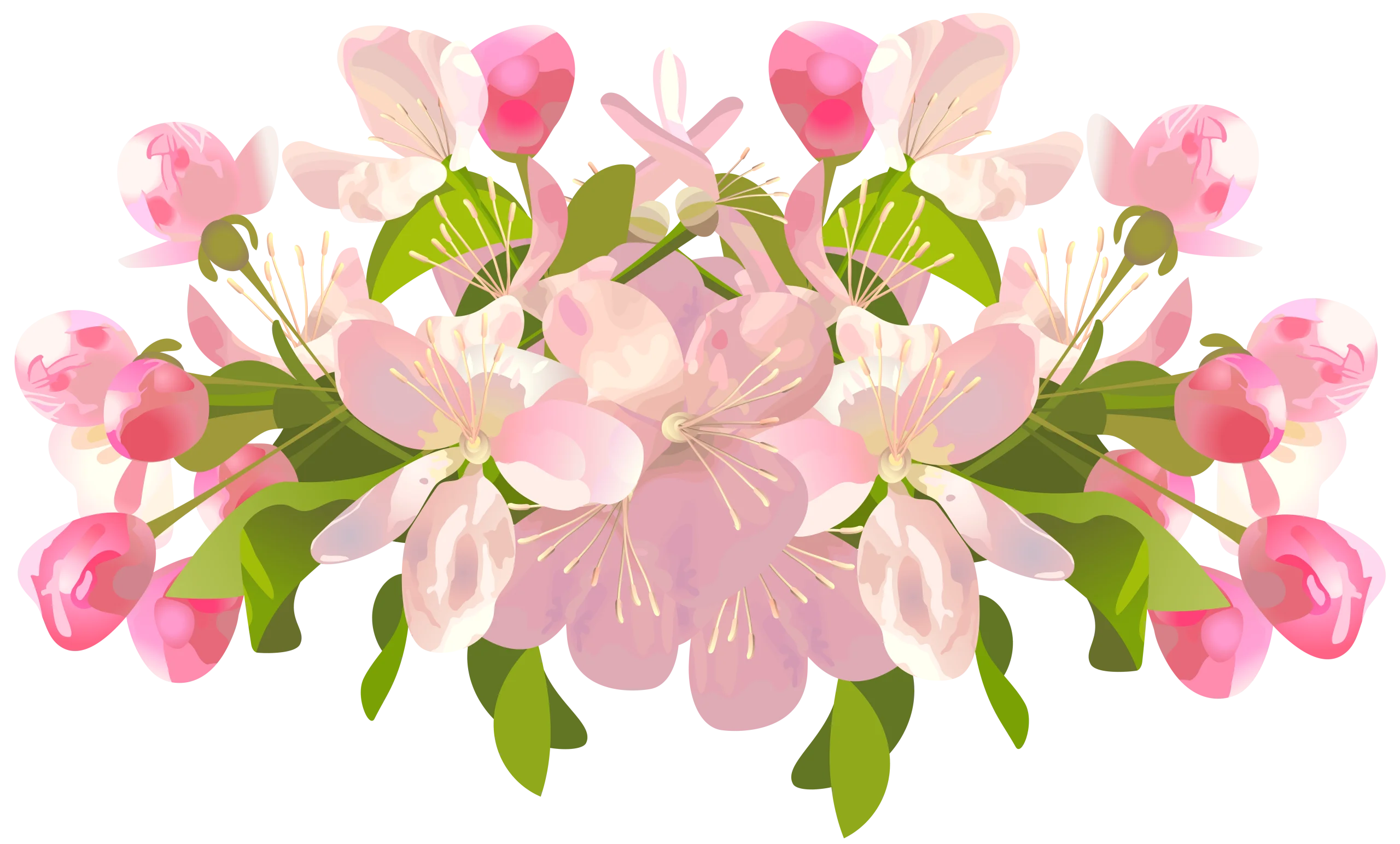 Delicate Pink Apple Blossom Symmetrical Spring Floral Watercolor Clipart Design