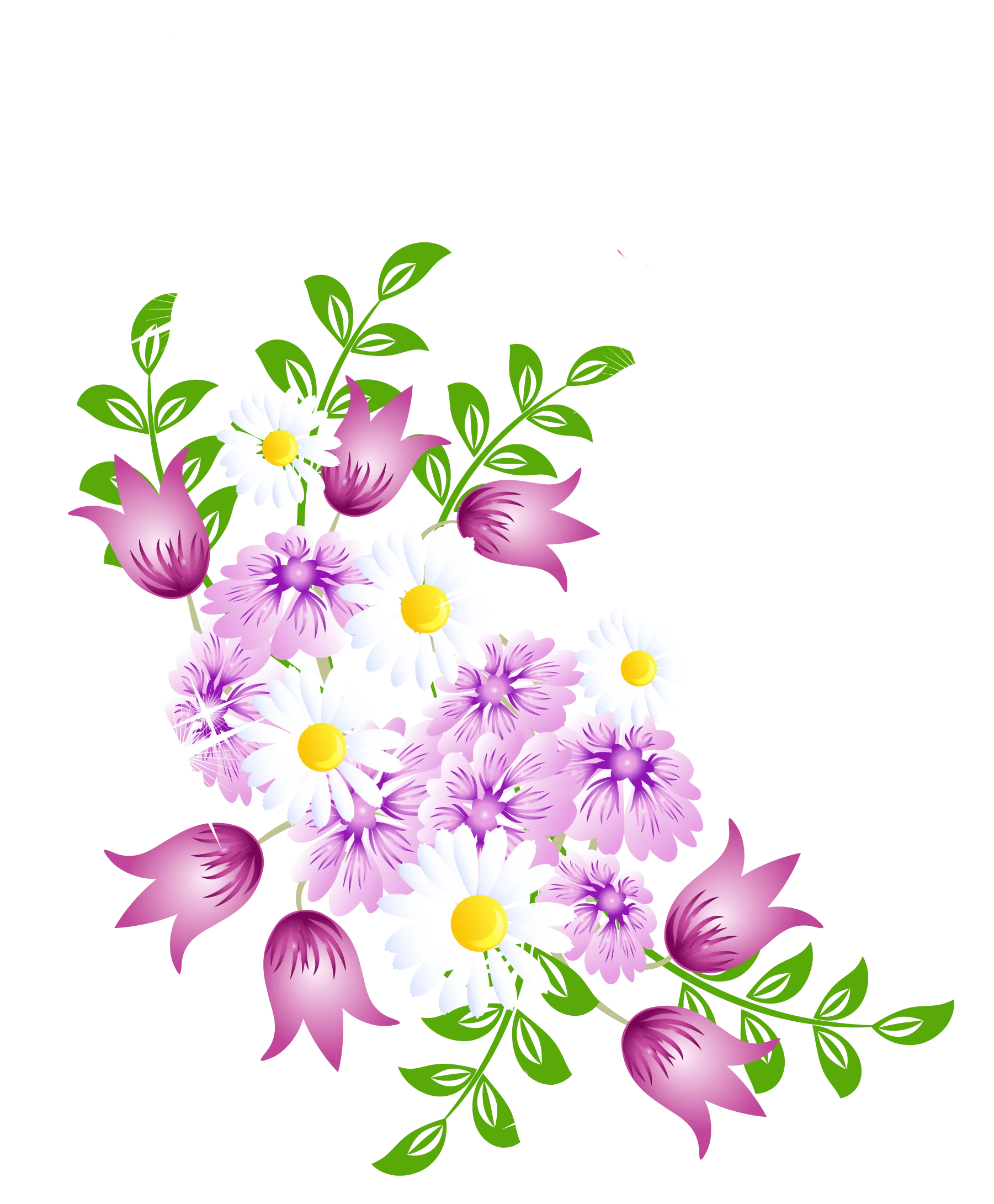 Delicate Spring Blossoms Watercolor Floral Clipart Design