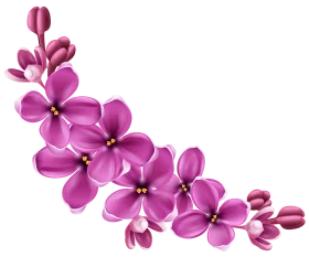 Elegant Pink Blossoming Floral Arrangement Springtime Clipart Design