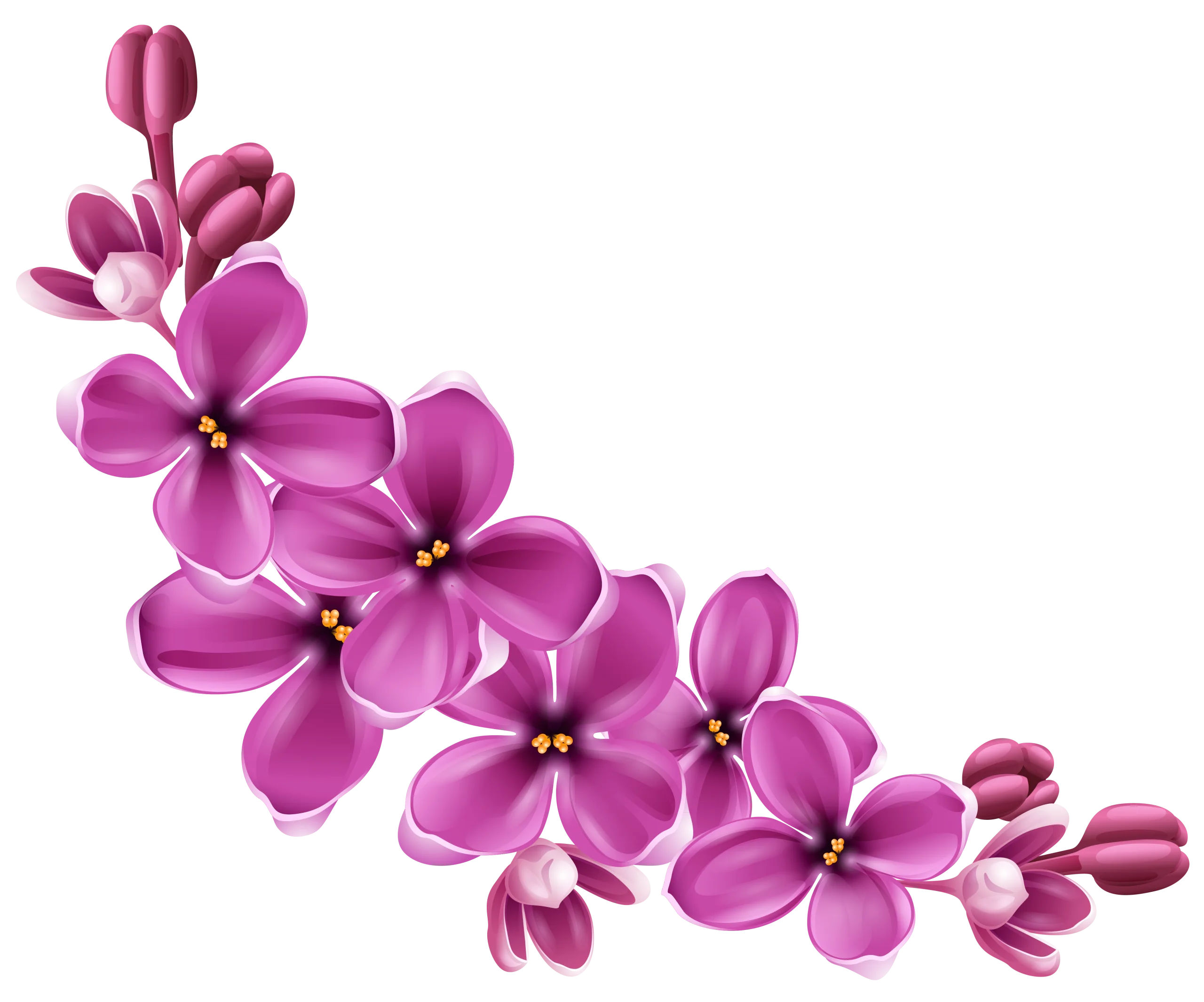 Elegant Pink Blossoming Floral Arrangement Springtime Clipart Design