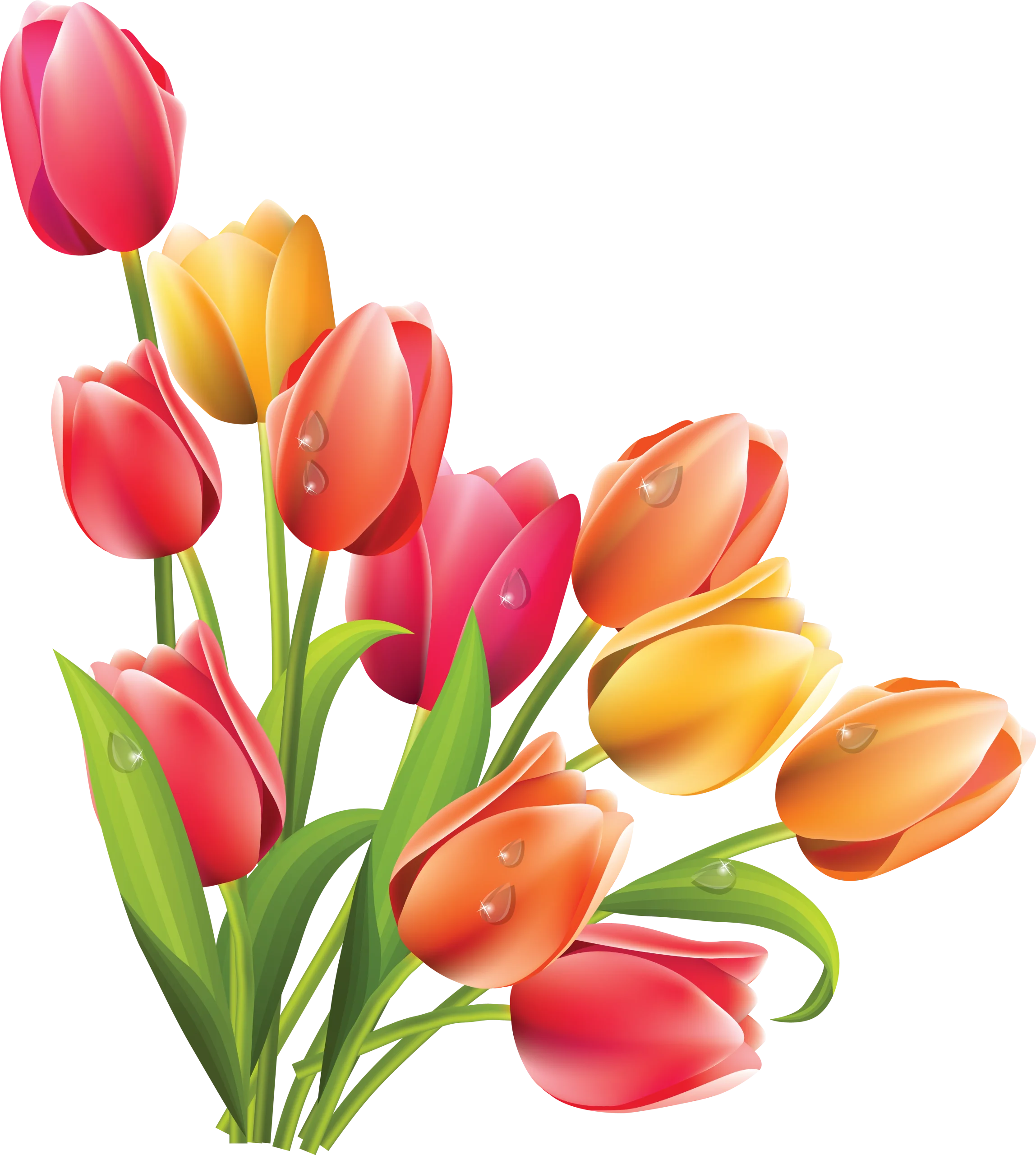 Elegant Spring Tulips Clipart: Soft Gradient Blossoms in Warm Hues