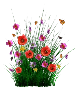 Enchanting Spring Garden Wildflower Meadow Clipart with Butterflies and Blooms