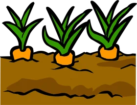 Cheerful Garden Clipart Showcasing Three Carrots Growing in Rich Brown Soil