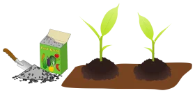 Gardening Growth Process Clipart: From Seed Packet to Sprouting Seedlings