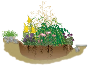 Intricate Garden Ecosystem Clipart Showcasing Plant Root Systems and Diversity