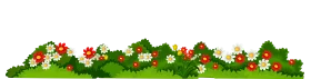 Lush Green Garden Border Clipart with Colorful Flowering Bushes and Landscape Illustration