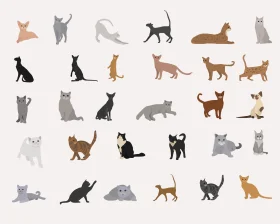 Minimalist Collection of Cat Silhouettes and Poses Clipart Illustration