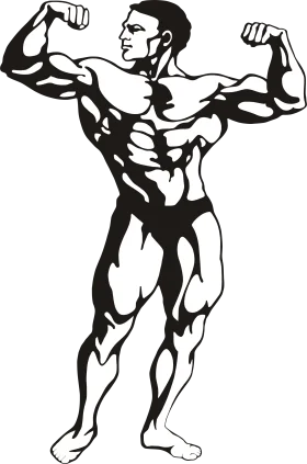 Muscular Male Bodybuilder Posing in Classic Bodybuilding Stance Gym Clipart