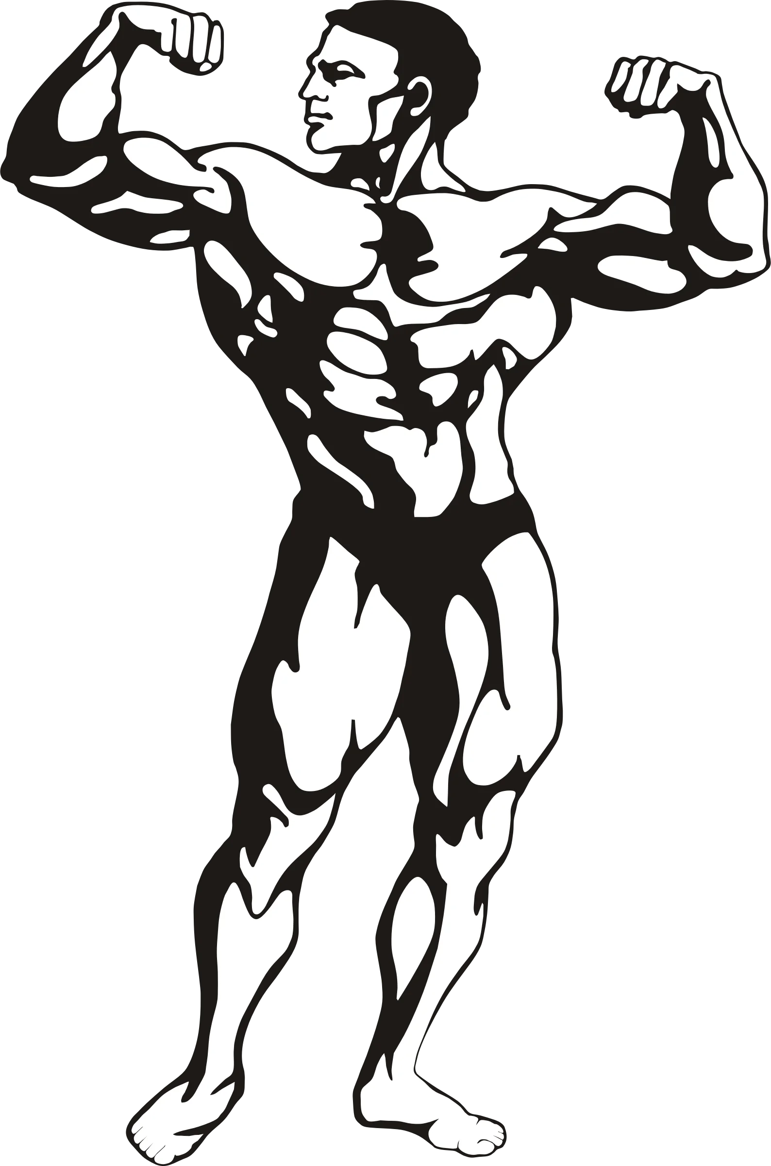 Muscular Male Bodybuilder Posing in Classic Bodybuilding Stance Gym Clipart