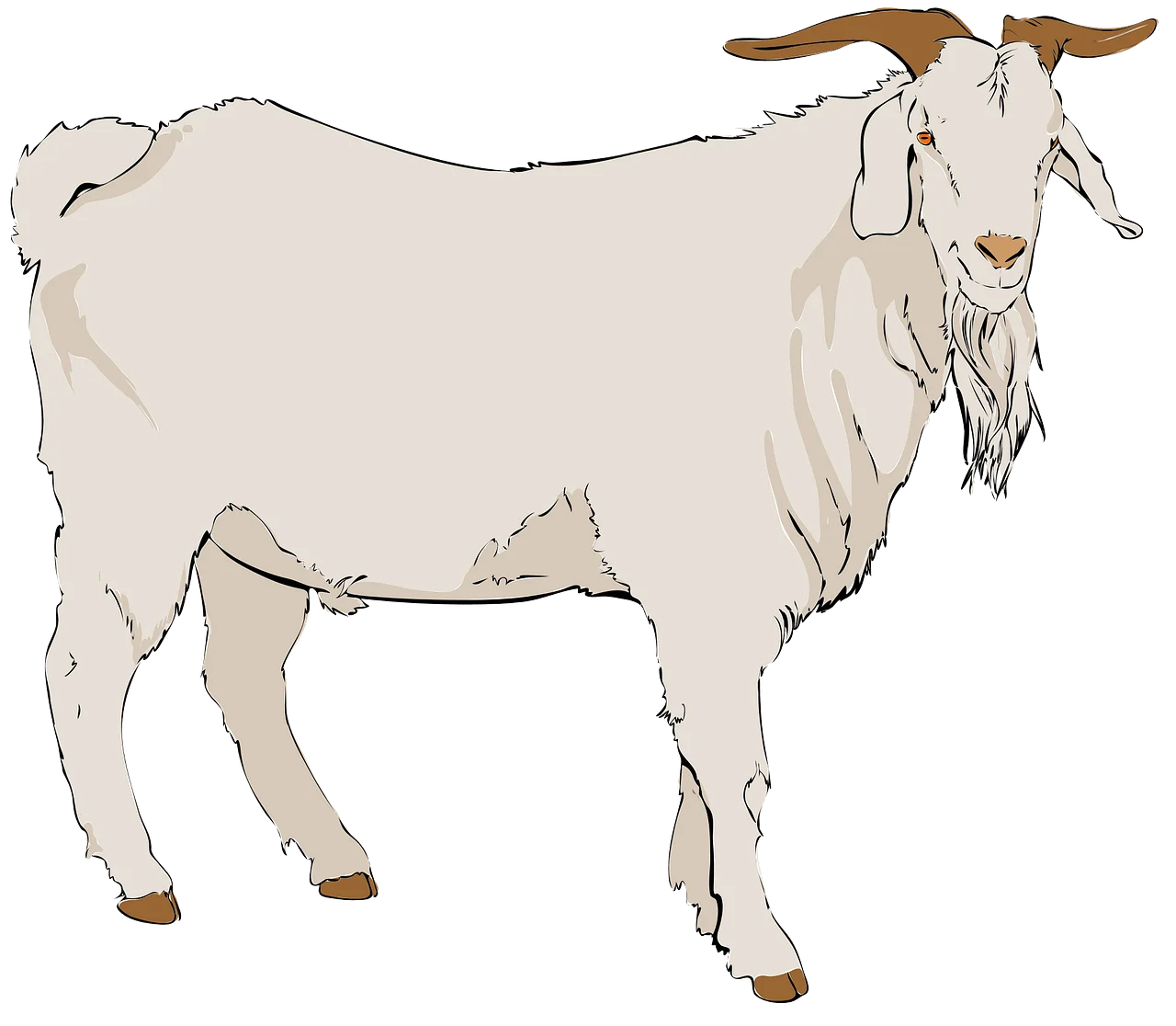 Elegant White Goat Standing Illustration Vintage-Style Clipart Artwork