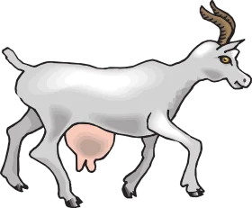 Gray and White Stylized Goat Clipart Illustration with Curved Horns