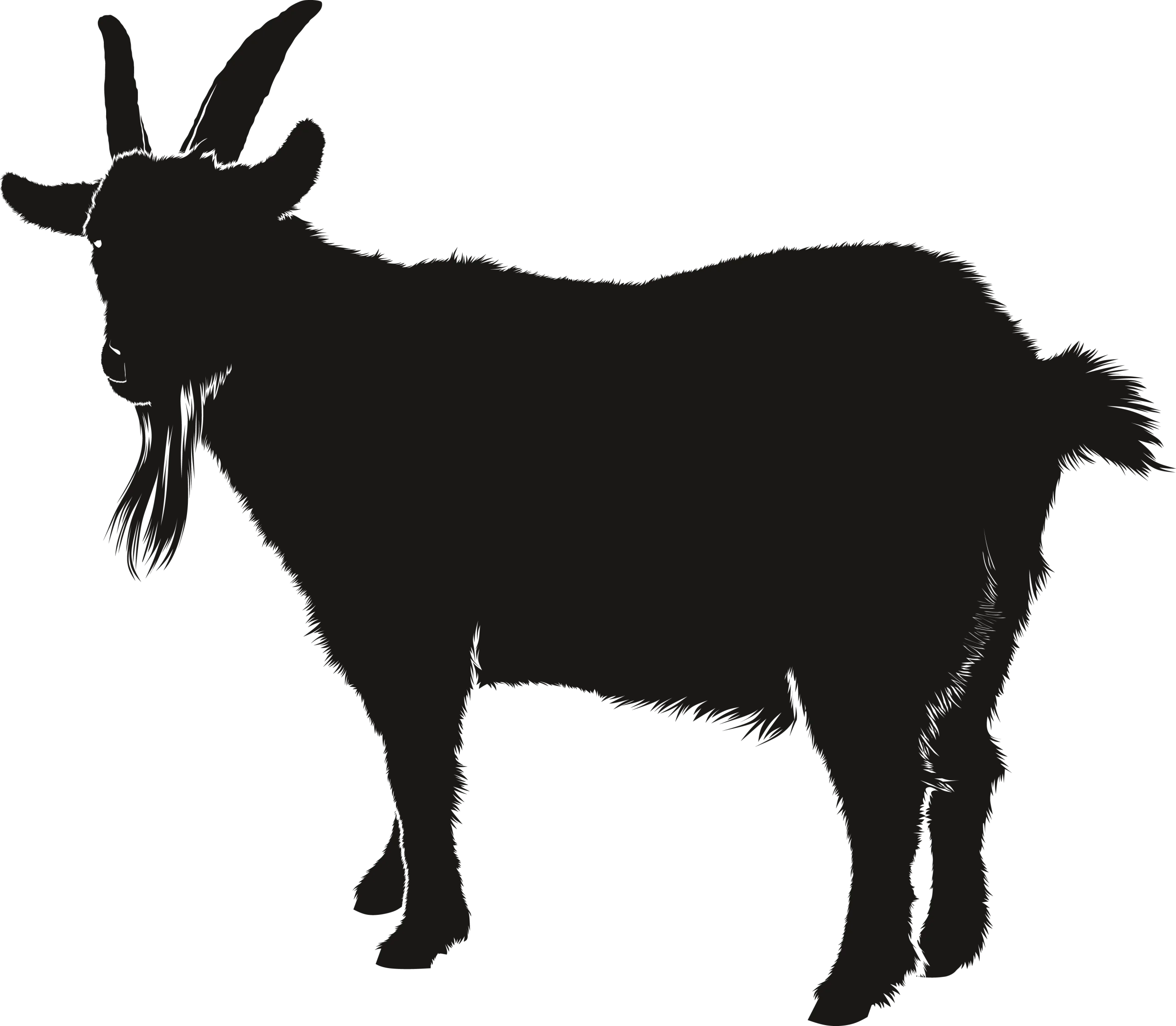 Minimalist Black Silhouette of a Sturdy Mountain Goat Clipart Design