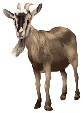 Realistic Farmyard Companion Goat Clipart with Nuanced Fur Texture