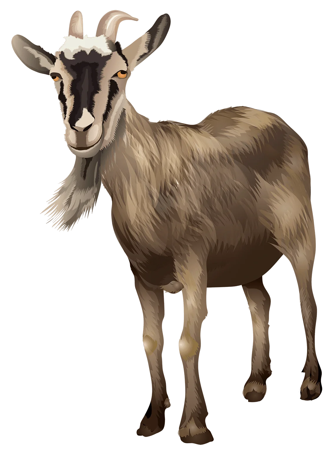 Realistic Farmyard Companion Goat Clipart with Nuanced Fur Texture