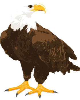 Majestic American Bald Eagle Clipart: Symbol of Freedom and Strength