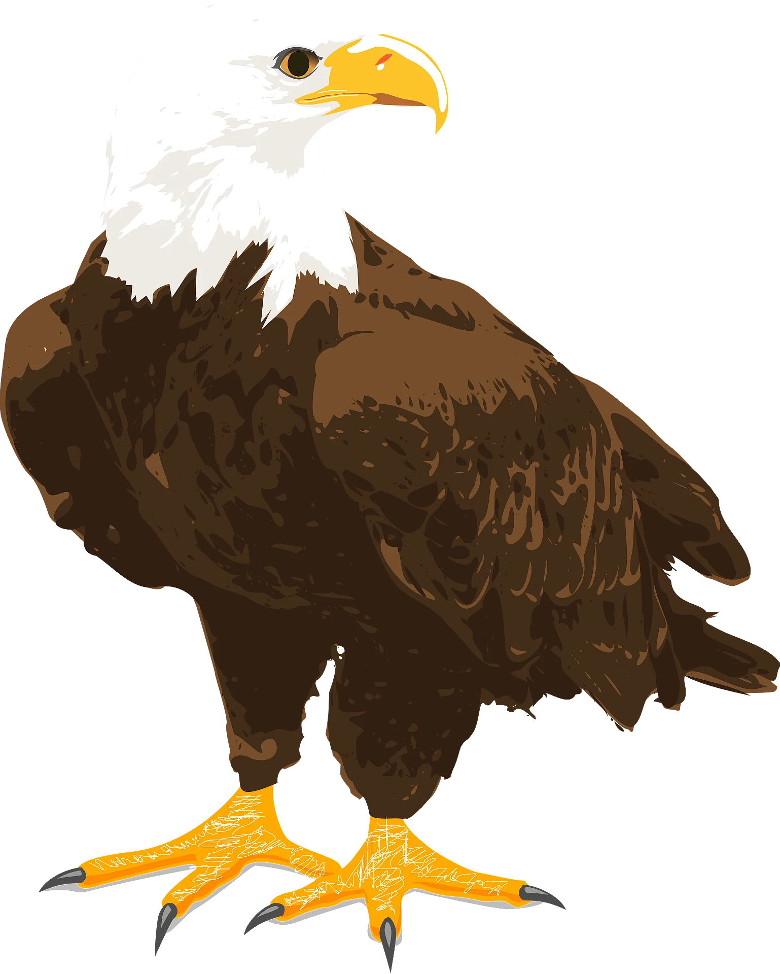 Majestic American Bald Eagle Clipart: Symbol of Freedom and Strength