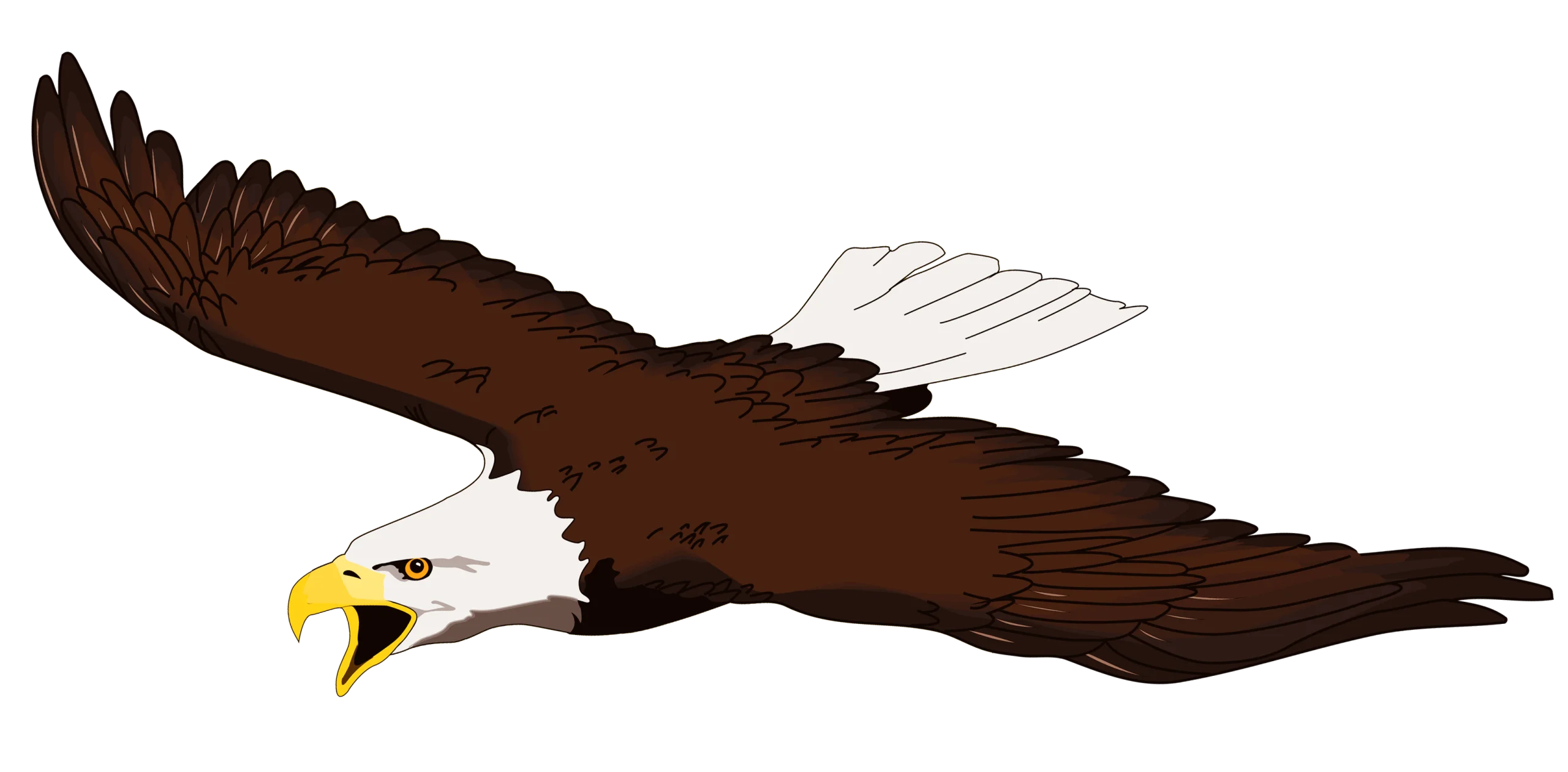 Majestic American Bald Eagle Soaring High Detailed Clipart Design
