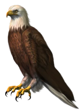 Majestic Bald Eagle Clipart: Powerful Symbol of Freedom and Strength