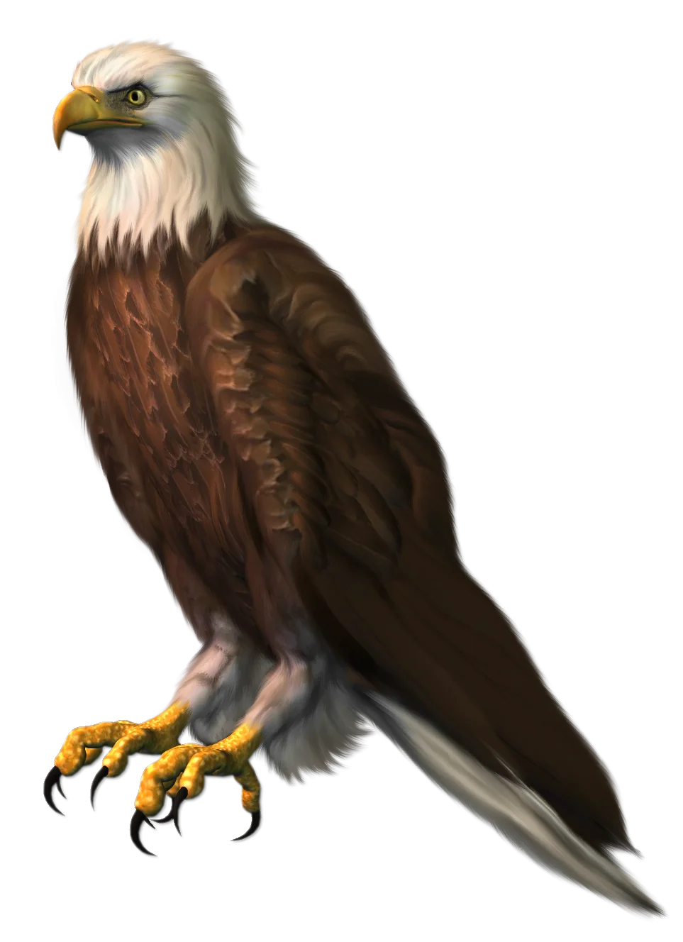 Majestic Bald Eagle Clipart: Powerful Symbol of Freedom and Strength