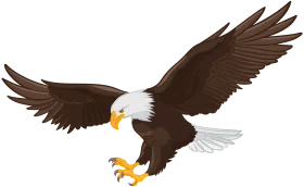 Majestic Bald Eagle Clipart Soaring with Outstretched Wings in Dynamic Pose
