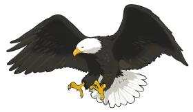 Majestic Bald Eagle Clipart with Outstretched Wings and Sharp Talons