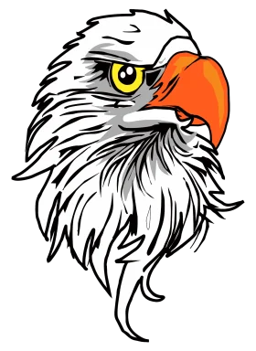 Majestic Bald Eagle Head Stylized Graphic Clipart Design with Bold Colors