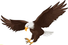 Majestic Bald Eagle in Dynamic Flight - Detailed Predator Clipart Illustration