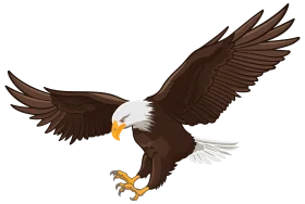 Majestic Bald Eagle in Flight: Powerful Winged Predator Clipart Illustration