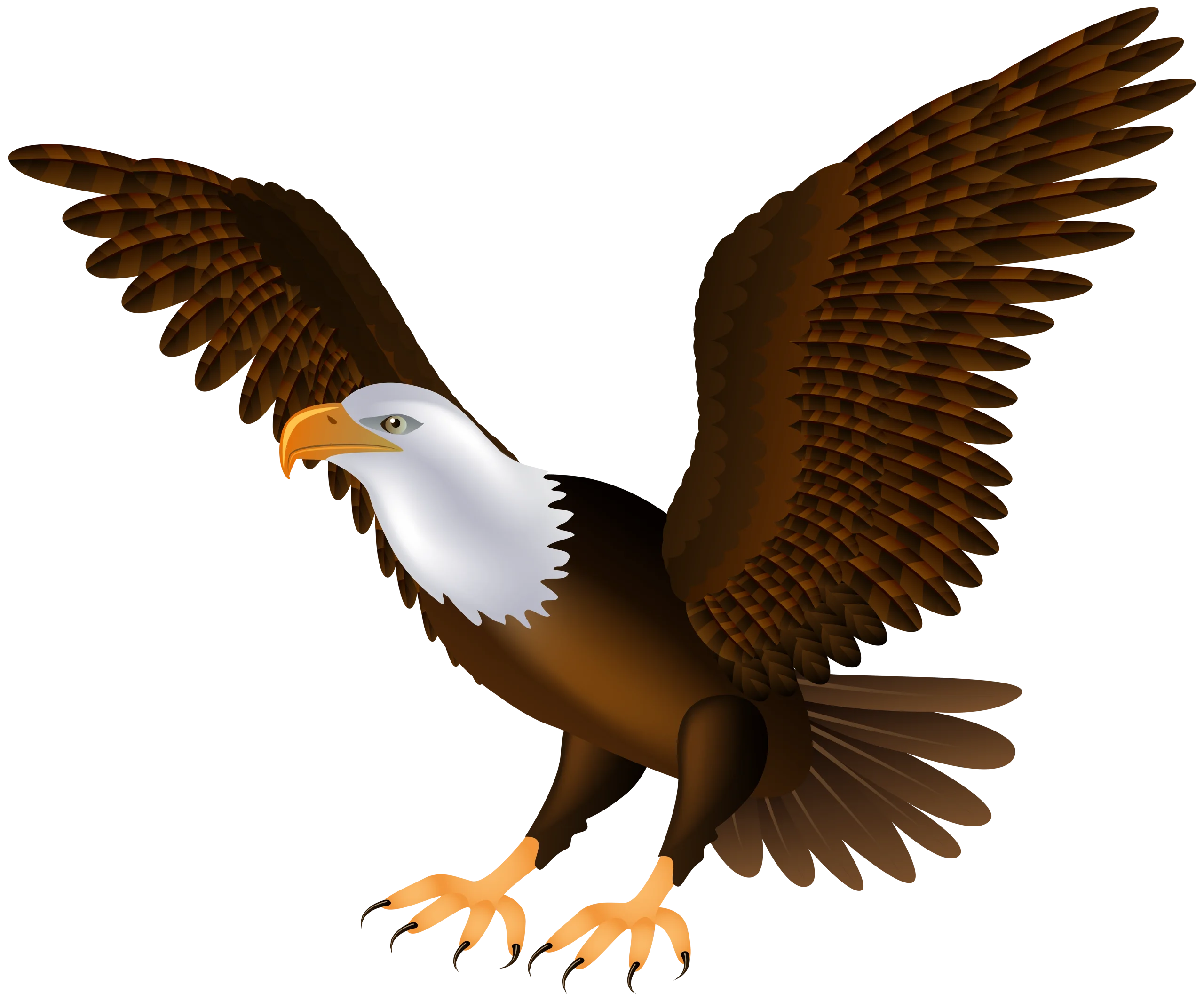 Majestic Bald Eagle in Full Wingspan Detailed Realistic Clipart Illustration