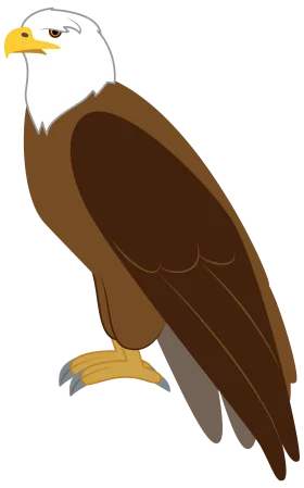 Majestic Bald Eagle Perched in Stylized Minimalist Clipart Design