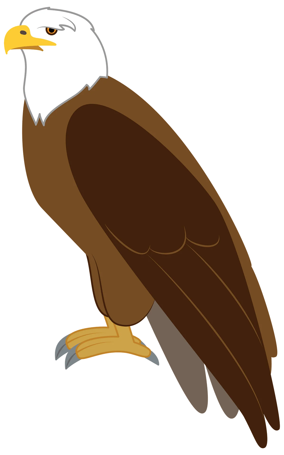 Majestic Bald Eagle Perched in Stylized Minimalist Clipart Design