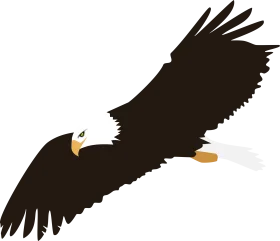 Majestic Bald Eagle Soaring with Outstretched Wings Patriotic Clipart Illustration