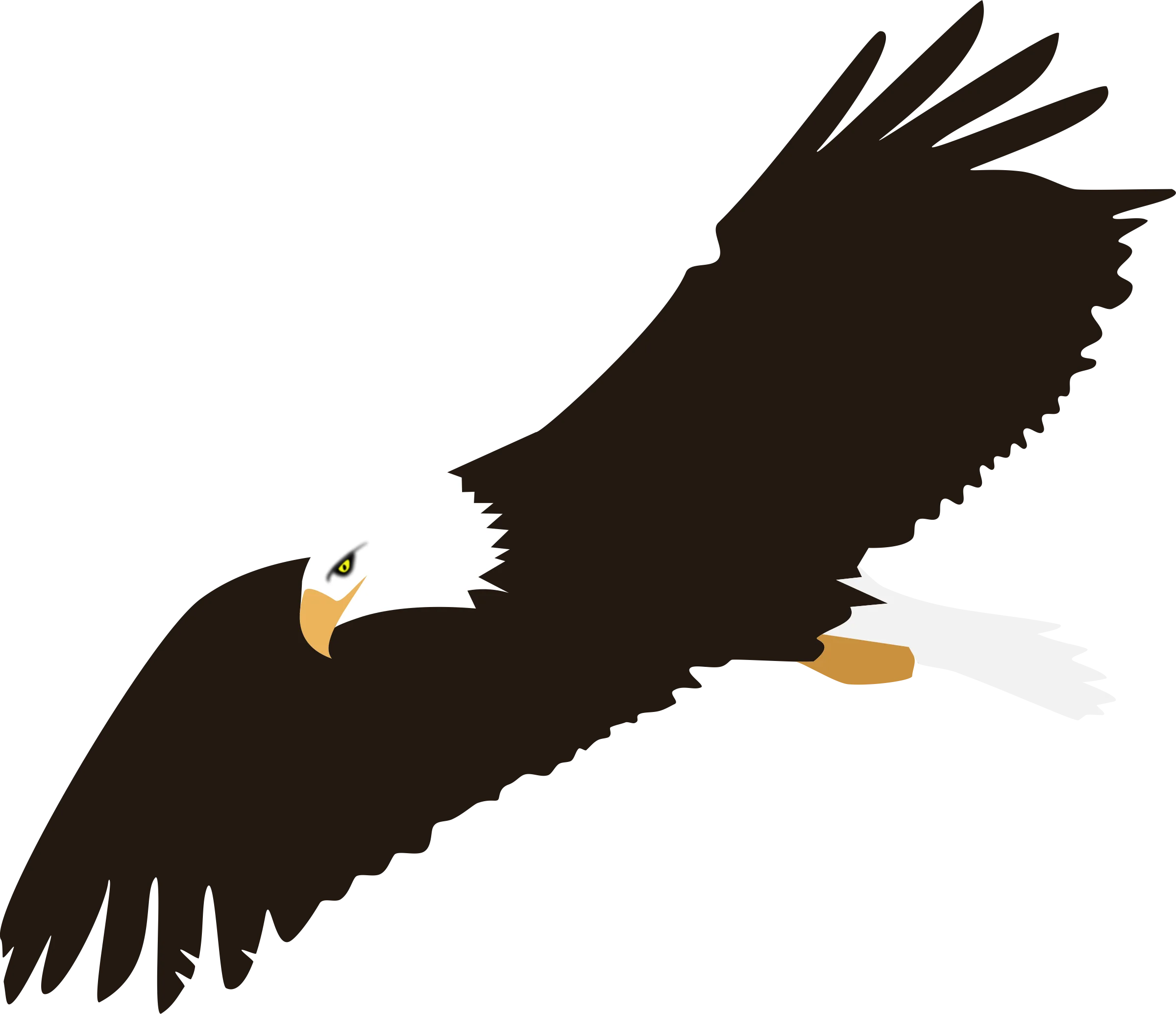 Majestic Bald Eagle Soaring with Outstretched Wings Patriotic Clipart Illustration