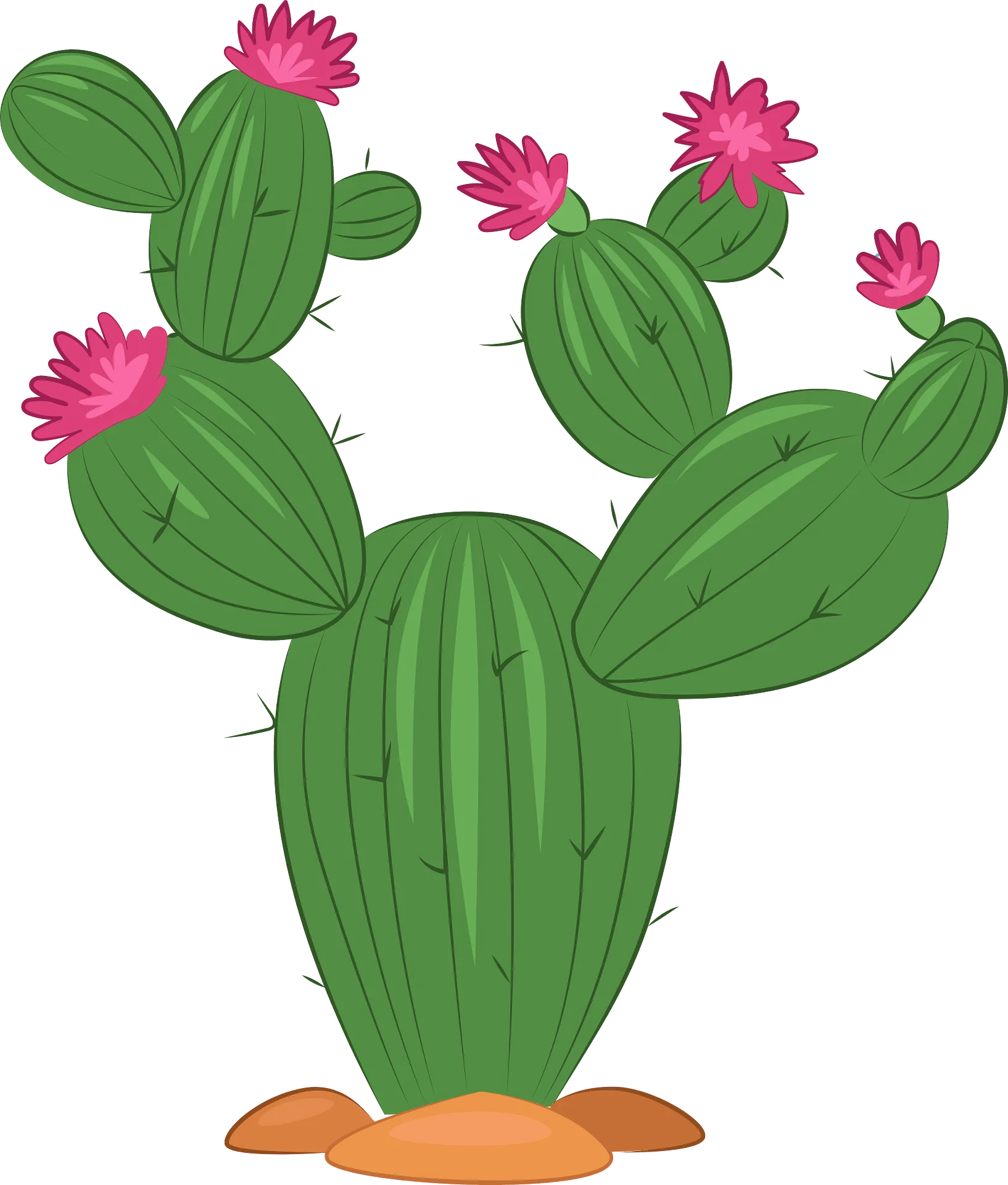 Charming Green Prickly Pear Cactus with Pink Blossoms Clipart Illustration