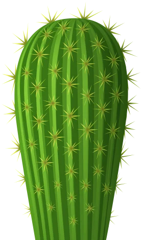 Detailed Green Columnar Cactus Clipart with Sharp Protective Spines