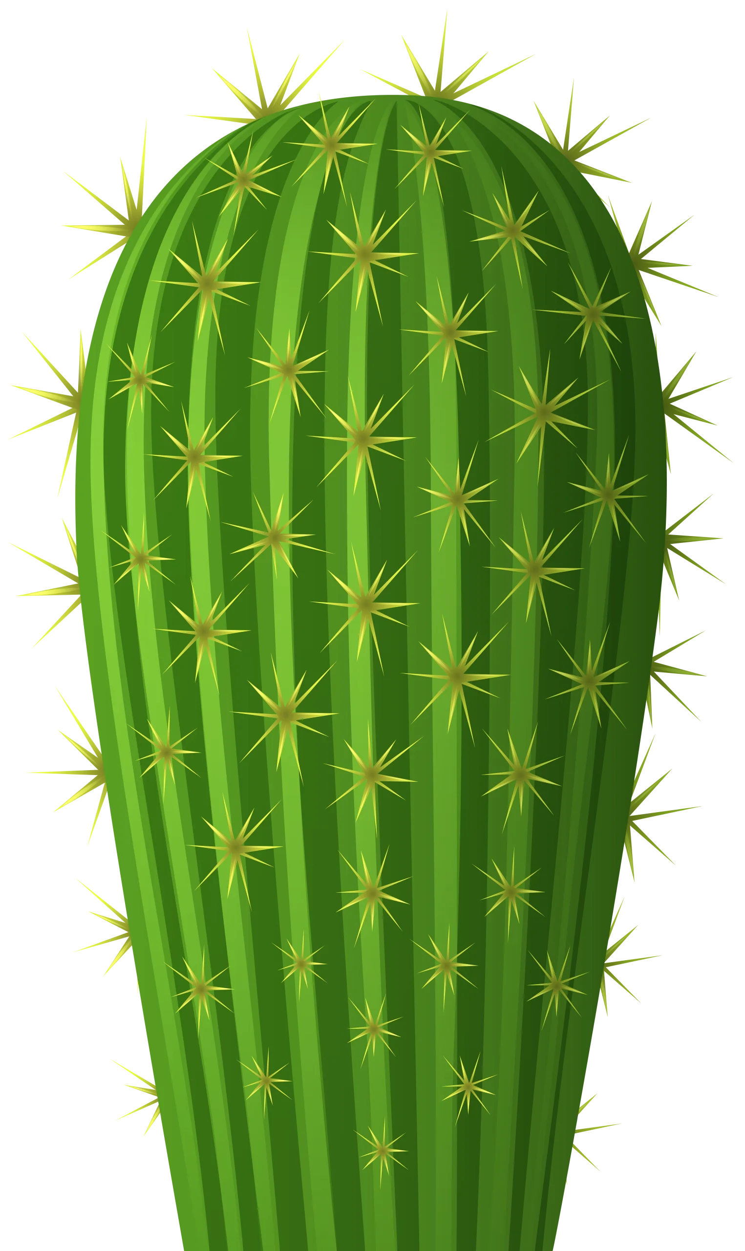 Detailed Green Columnar Cactus Clipart with Sharp Protective Spines