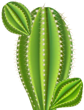 Lush Green Desert Guardian: A Serene Saguaro Cactus Clipart Illustration