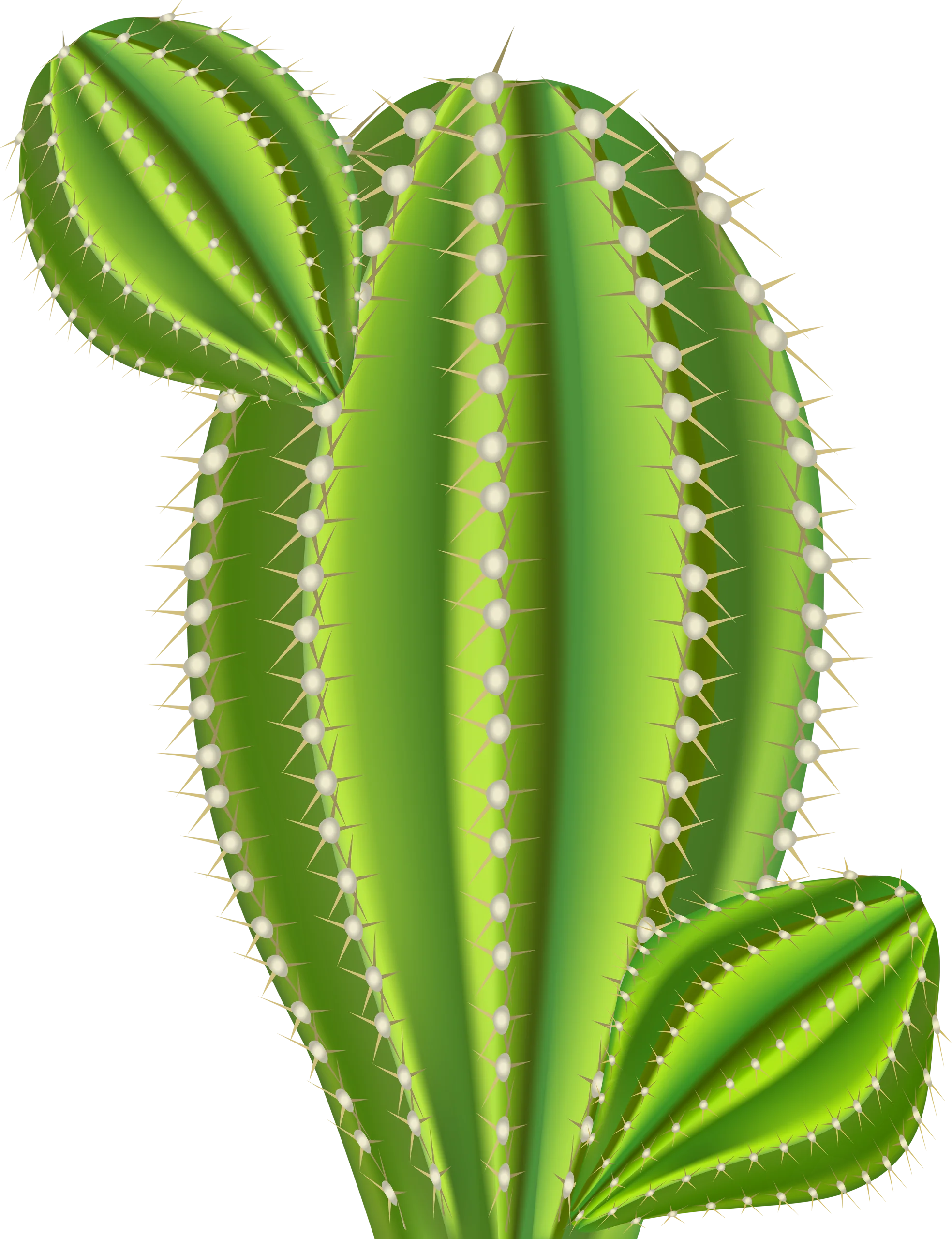 Lush Green Desert Guardian: A Serene Saguaro Cactus Clipart Illustration