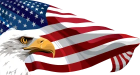 Majestic Bald Eagle Soaring with American Flag Clipart Design Symbolizing Patriotism