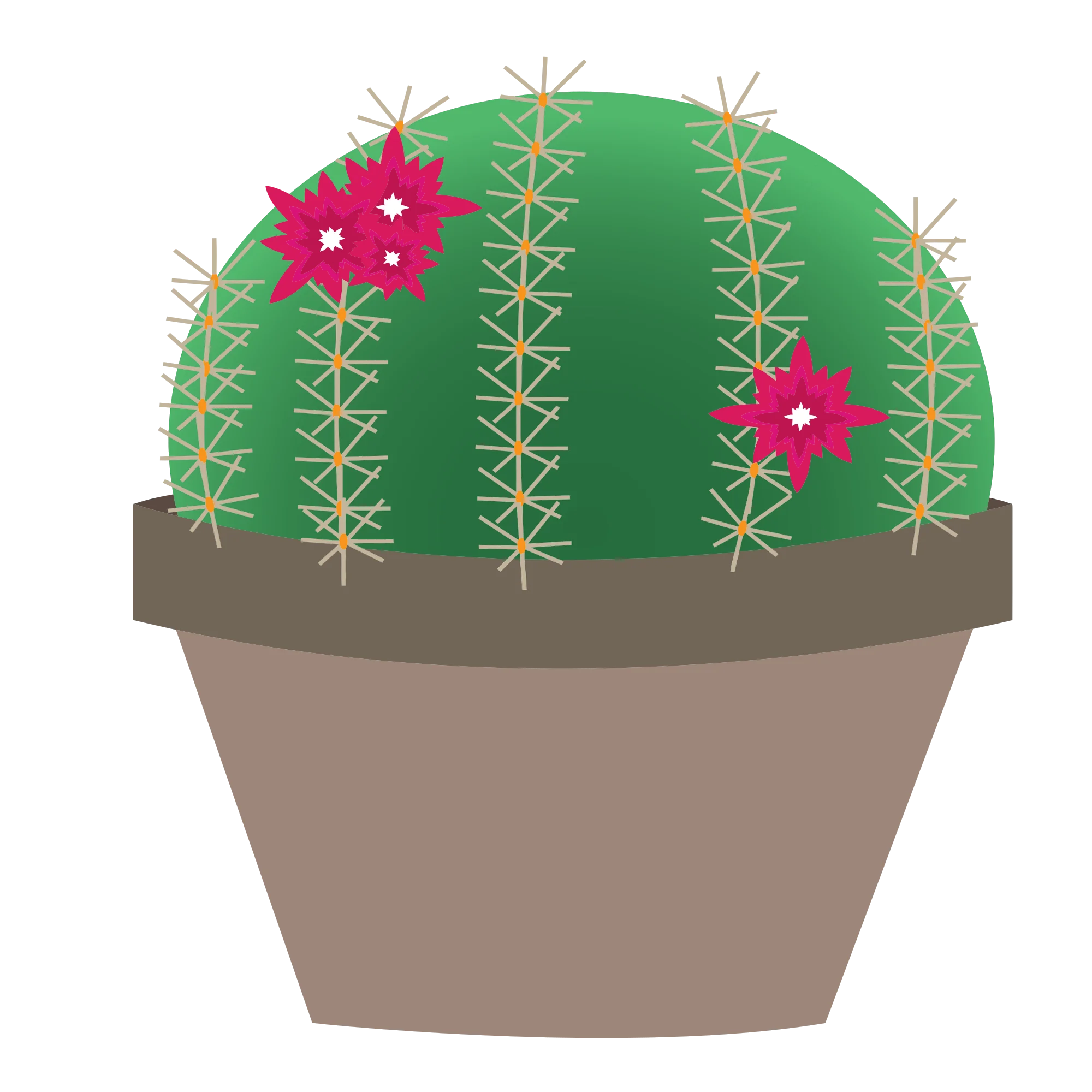 Stylish Round Cactus with Bright Pink Flowers Minimalist Clipart Design