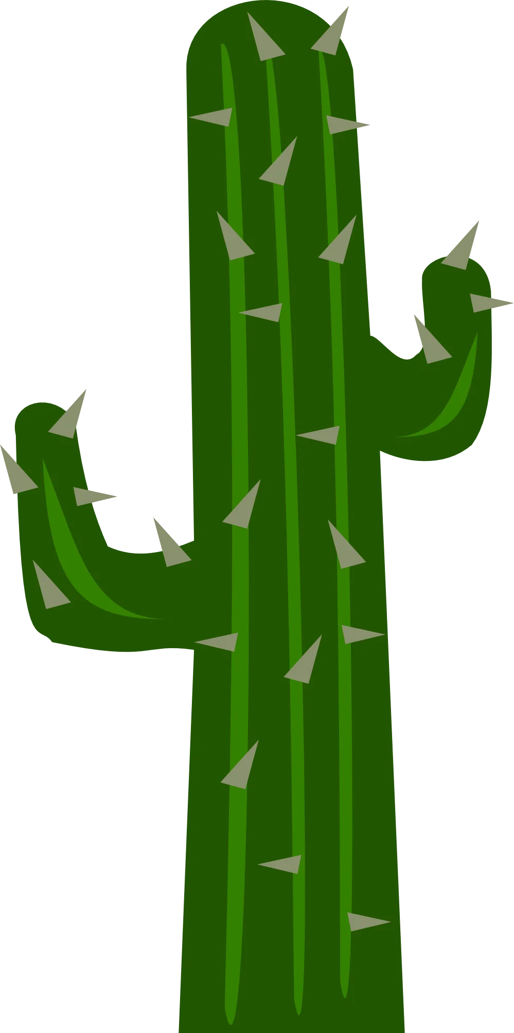 Stylized Green Saguaro Cactus Clipart with Sharp Pointed Spines Illustration