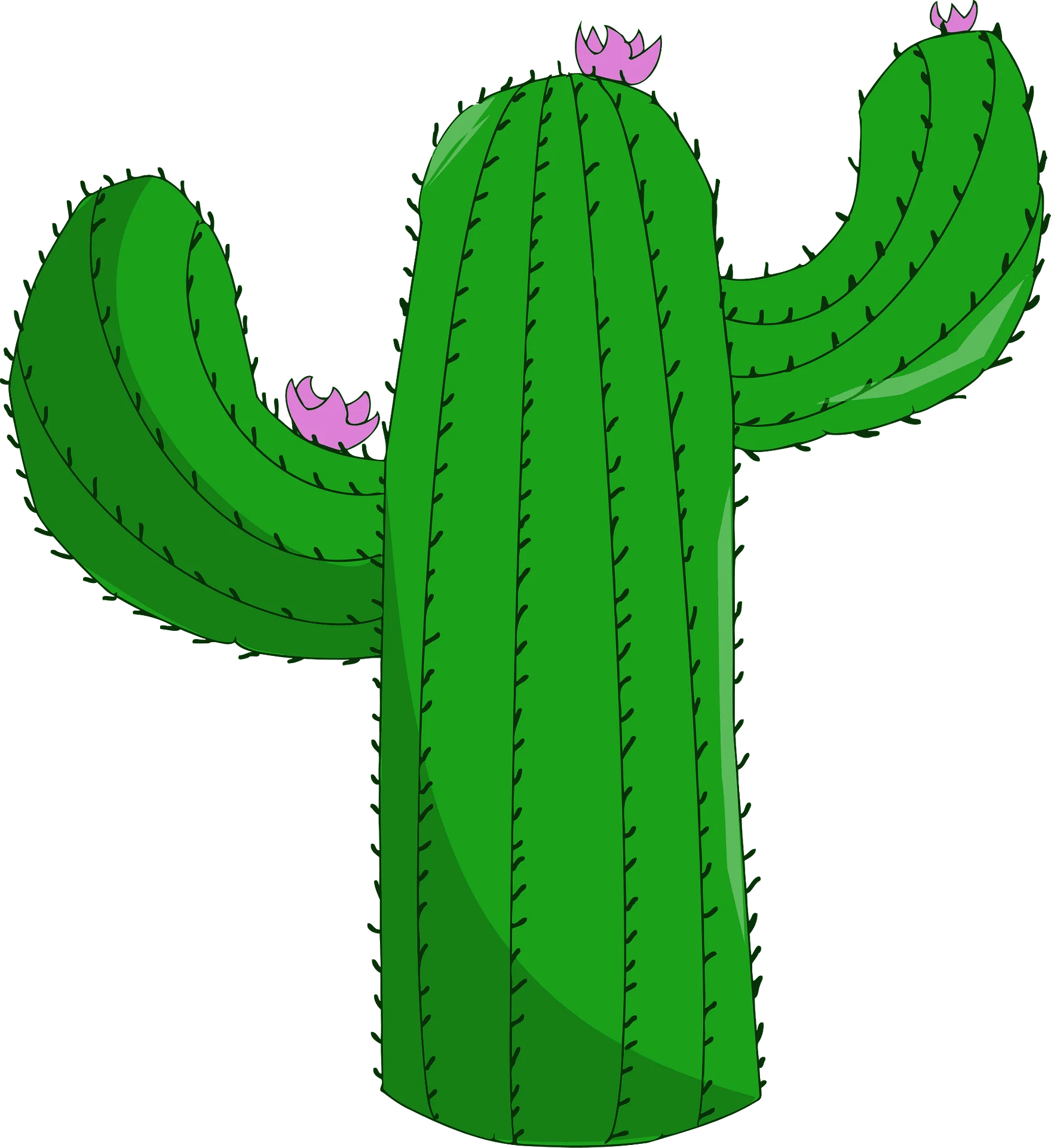 Classic Saguaro Cactus Clipart Illustration with Soft Purple Flower Blossoms