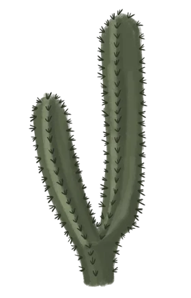 Minimalist Green Saguaro Cactus Clipart Illustration with Sharp Spines