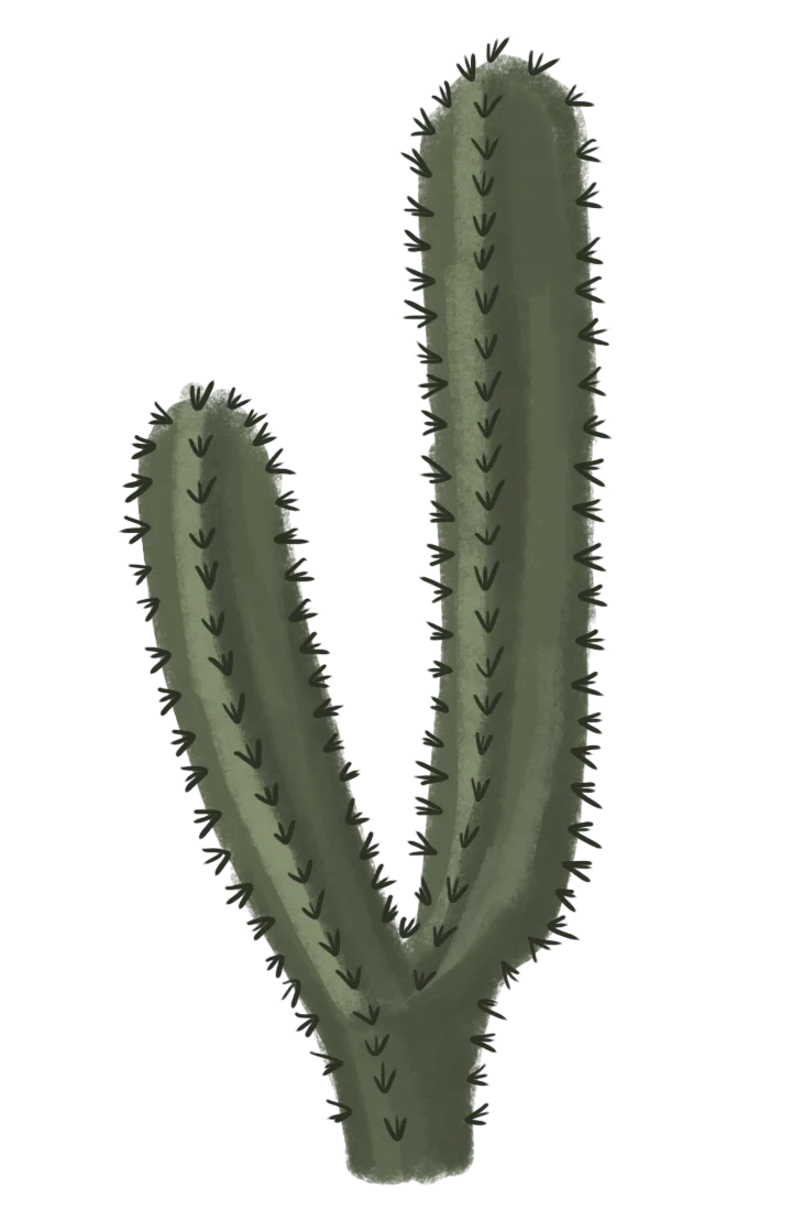 Minimalist Green Saguaro Cactus Clipart Illustration with Sharp Spines