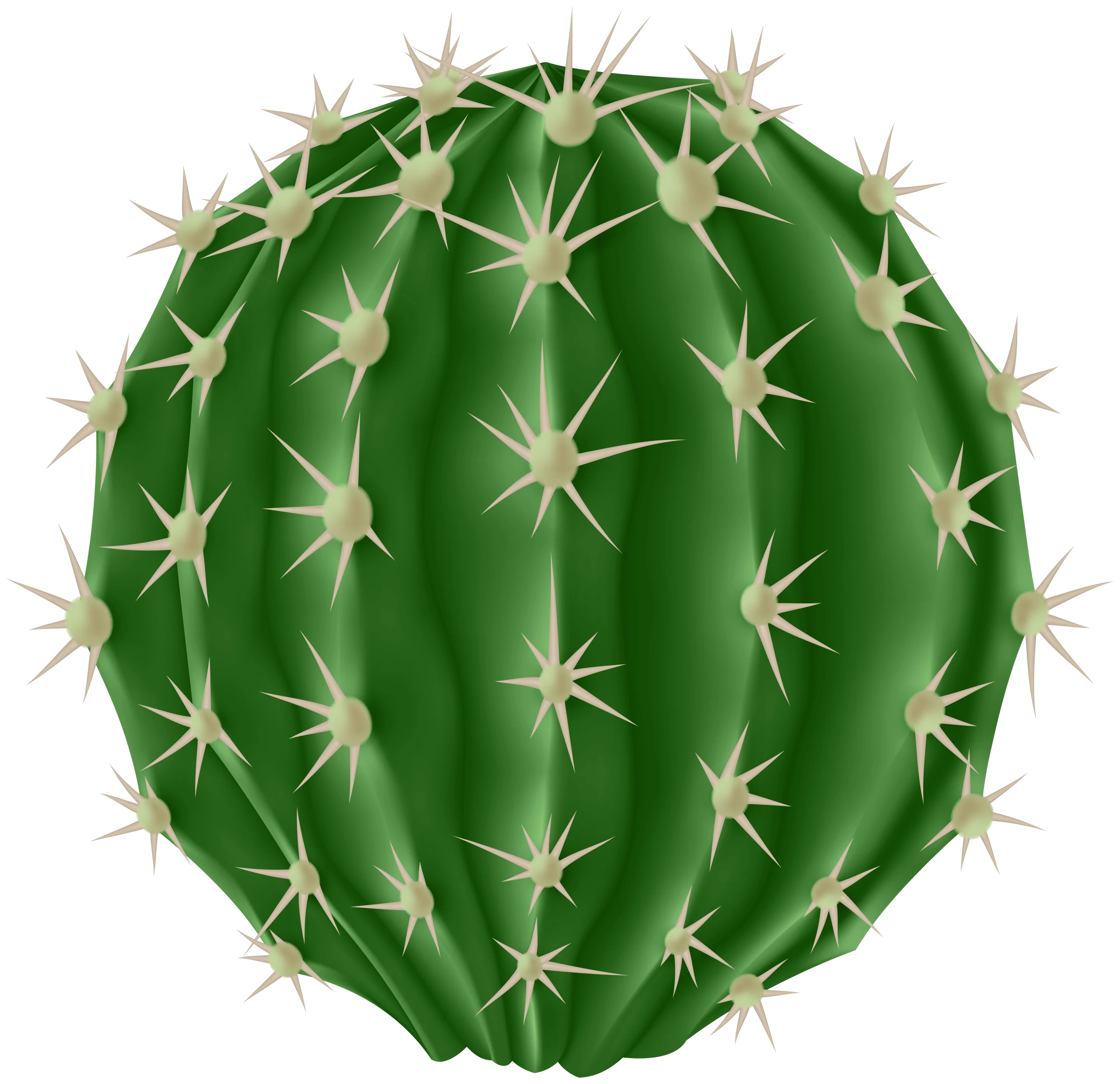 Spherical Green Desert Dwelling Cactus Clipart with Sharp Protective Spines