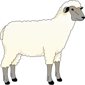 Adorable Woolly Sheep Clipart Illustration with Soft Textured Fleece