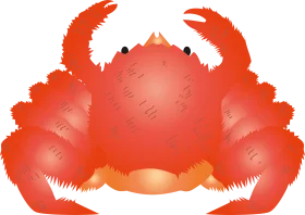 Charming Red Crab Clipart with Detailed Texture and Playful Silhouette