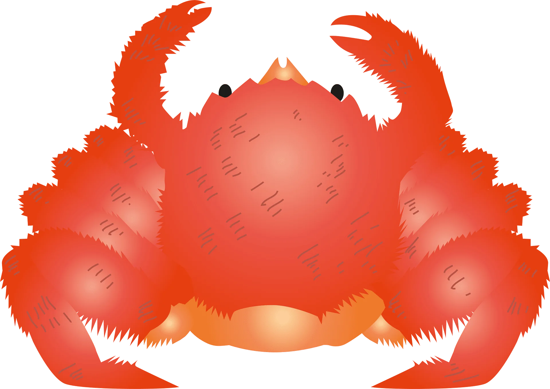 Charming Red Crab Clipart with Detailed Texture and Playful Silhouette
