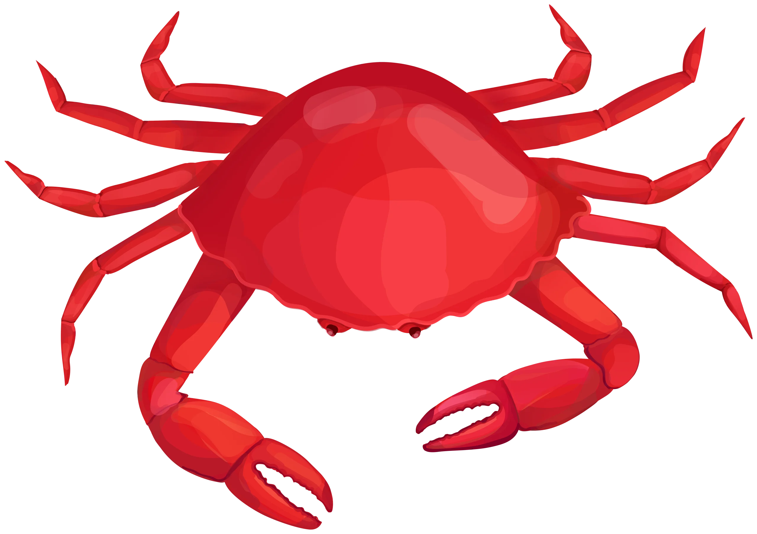 Crimson Crustacean Clipart: Bold and Stylized Red Crab Illustration